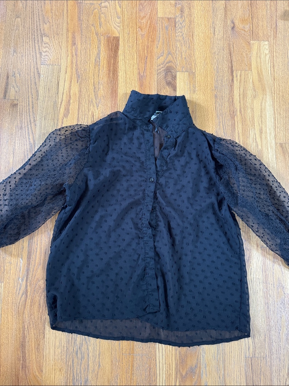 Black Sheer Swiss Dot Button-Down Blouse